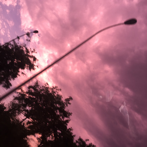 草莓视频黄色免费下载
